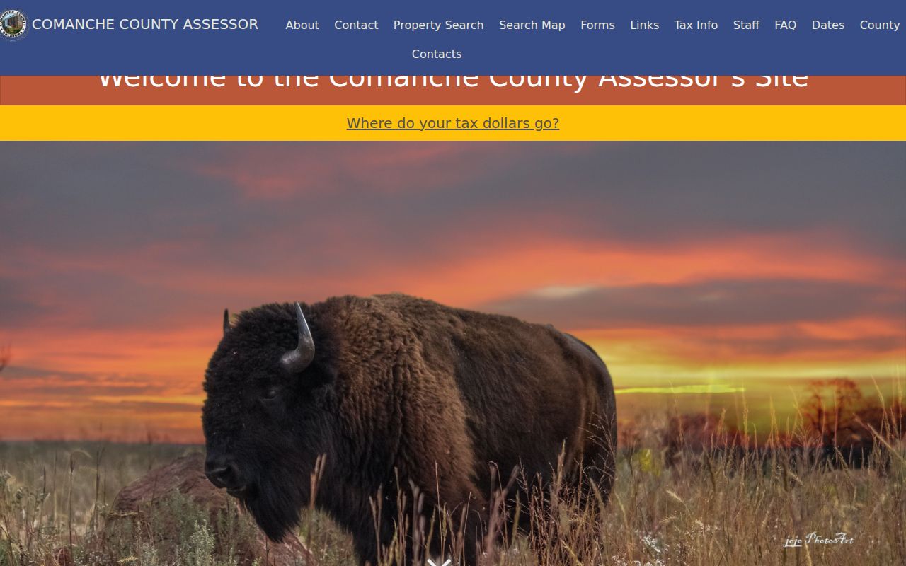 Lawton street directory Comanche County Assessor property-search homepage